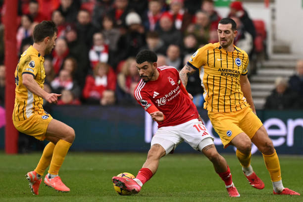 品牌与球迷 品牌与球迷