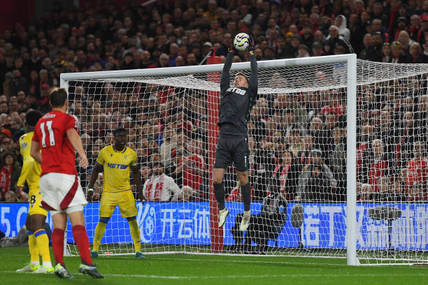 生态的竞争 生态的竞争